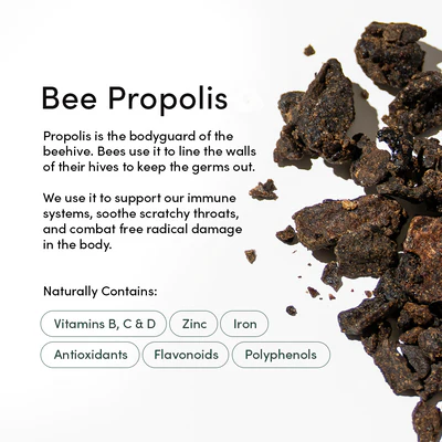Propolis Immune Support 1.06 fl oz